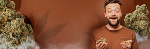 Discover the New Fog CBD Flower Experience