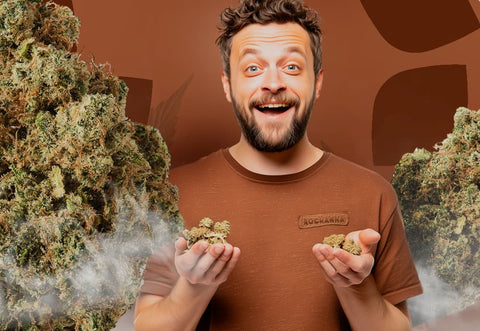 Discover the New Fog CBD Flower Experience