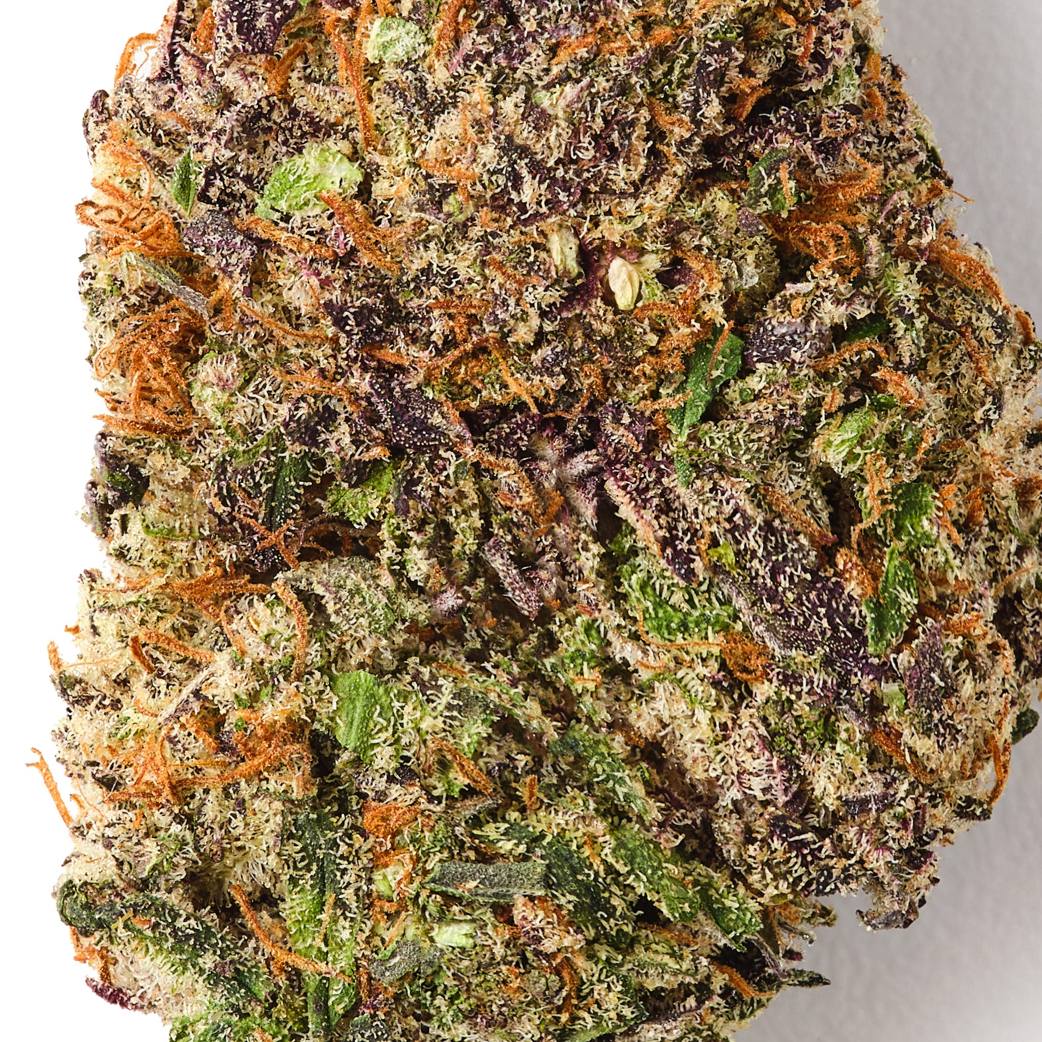 Bubba Kush | CBD Flower | Exquisite Indoor | 18%