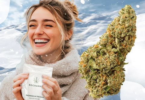 A Frosty Citrus Haze Adventure