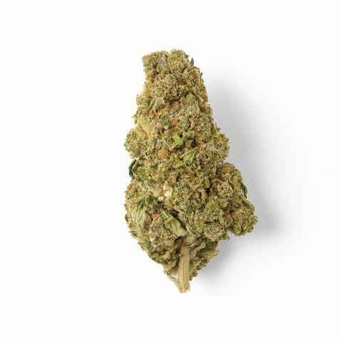 CF Haze | CBD Flower | Premium Indoor | HempHash | 18% CBD