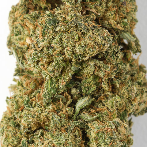 Cannatonic | CBD Hemp Flower | Glasshouse + Light Support | 19% CBD - HempHash
