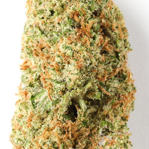 Cheese | CBD Flower | Indoor | HempHash | 18% CBD