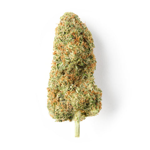 Cheese | CBD Flower | Indoor | HempHash | 18% CBD