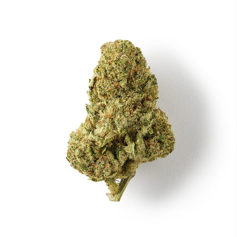 Forbidden Fruit CBD hemp tea with 18% CBD, sweet citrus flavours, and rich trichome coverage.