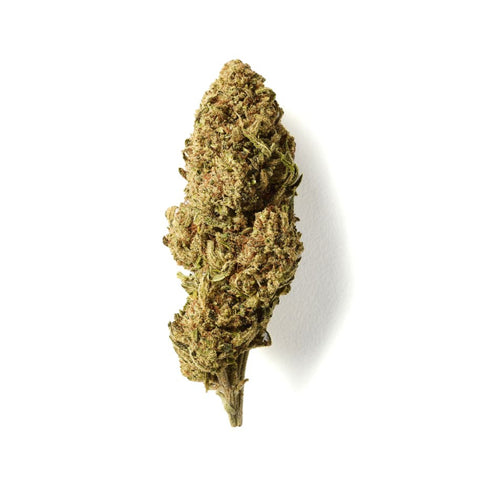 CBD flower Fruit Cake grown in glasshouse for UK