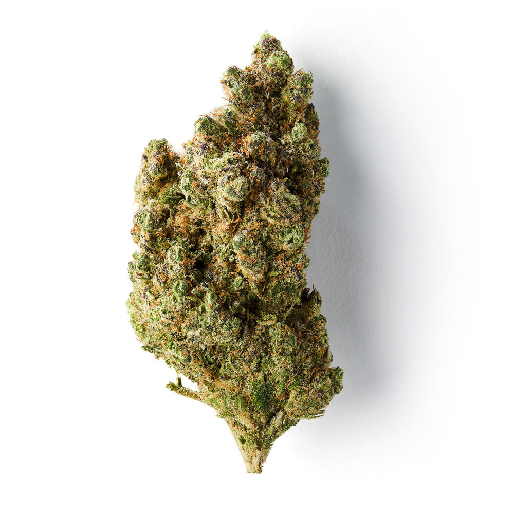 Maui | CBD Flower | Indoor | HempHash | 18% CBD
