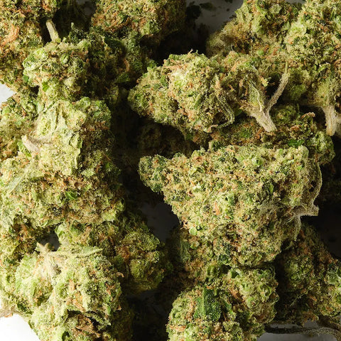 Pineapple | CBD Hemp Flower | Boutique Indoor Popcorn <1.3 cm | 11% CBD - HempHash