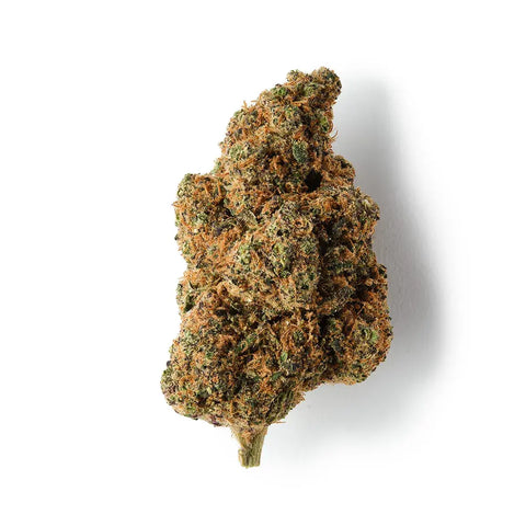 Rochanna Tropical Dream CBD Tea, 13% CBD, cup winner with mango-pineapple aroma, dark green, <0.2% THC.