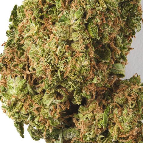 Lemon Haze | CBD Flower | Glasshouse | 14% CBD