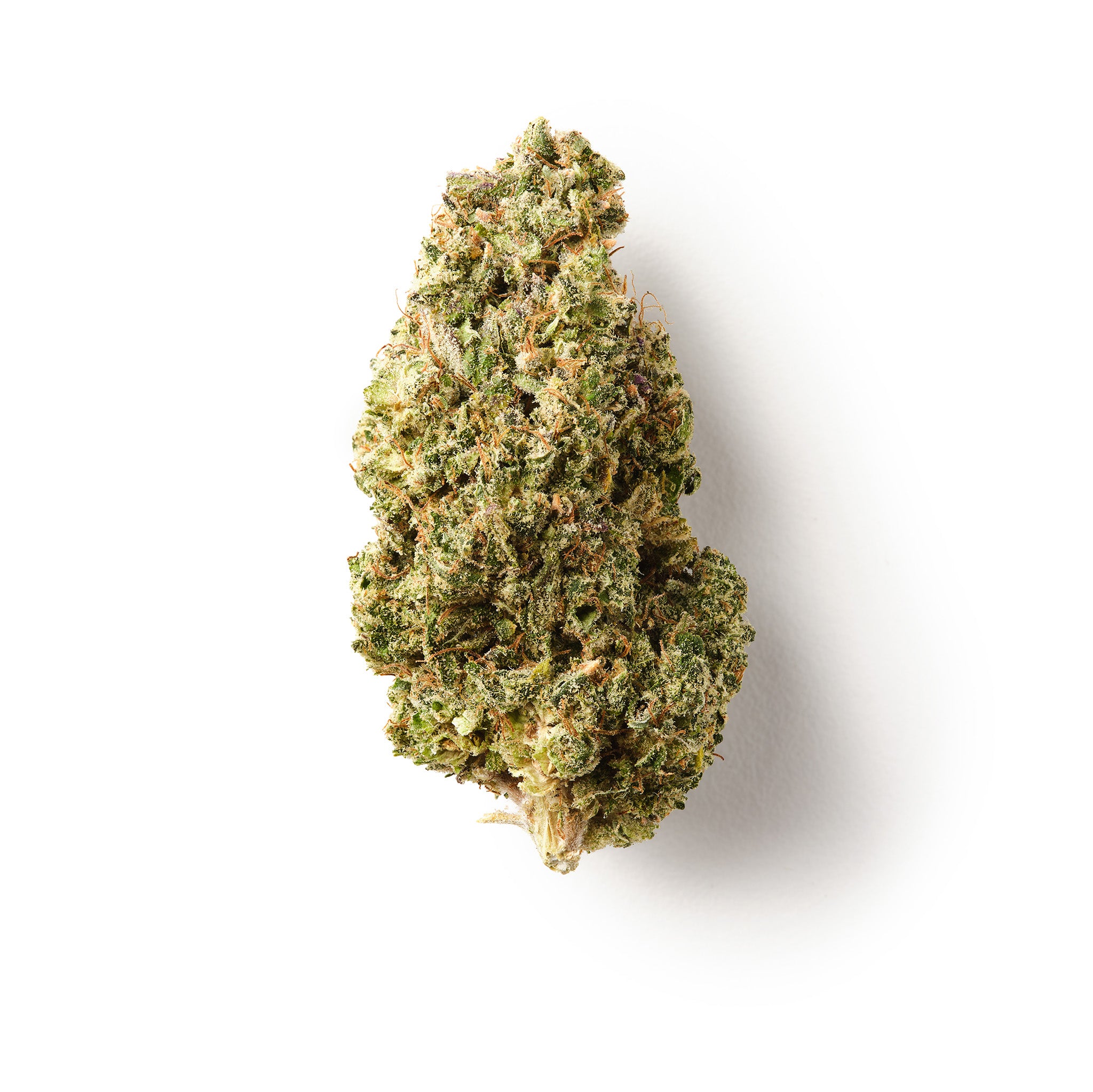 １ml　ガツン　hhbd h4cbh crd h4cbd レモンクッシュ Lemon Kush Burst | CBD Flower | Exquisite Indoor | 16% CBD – HempHash