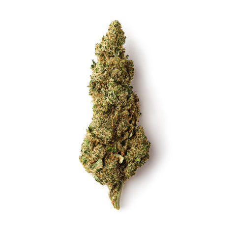 Mela Sour CBD hemp flower, 21% CBD, indoor-grown, rich trichomes, and a sour citrus aroma.