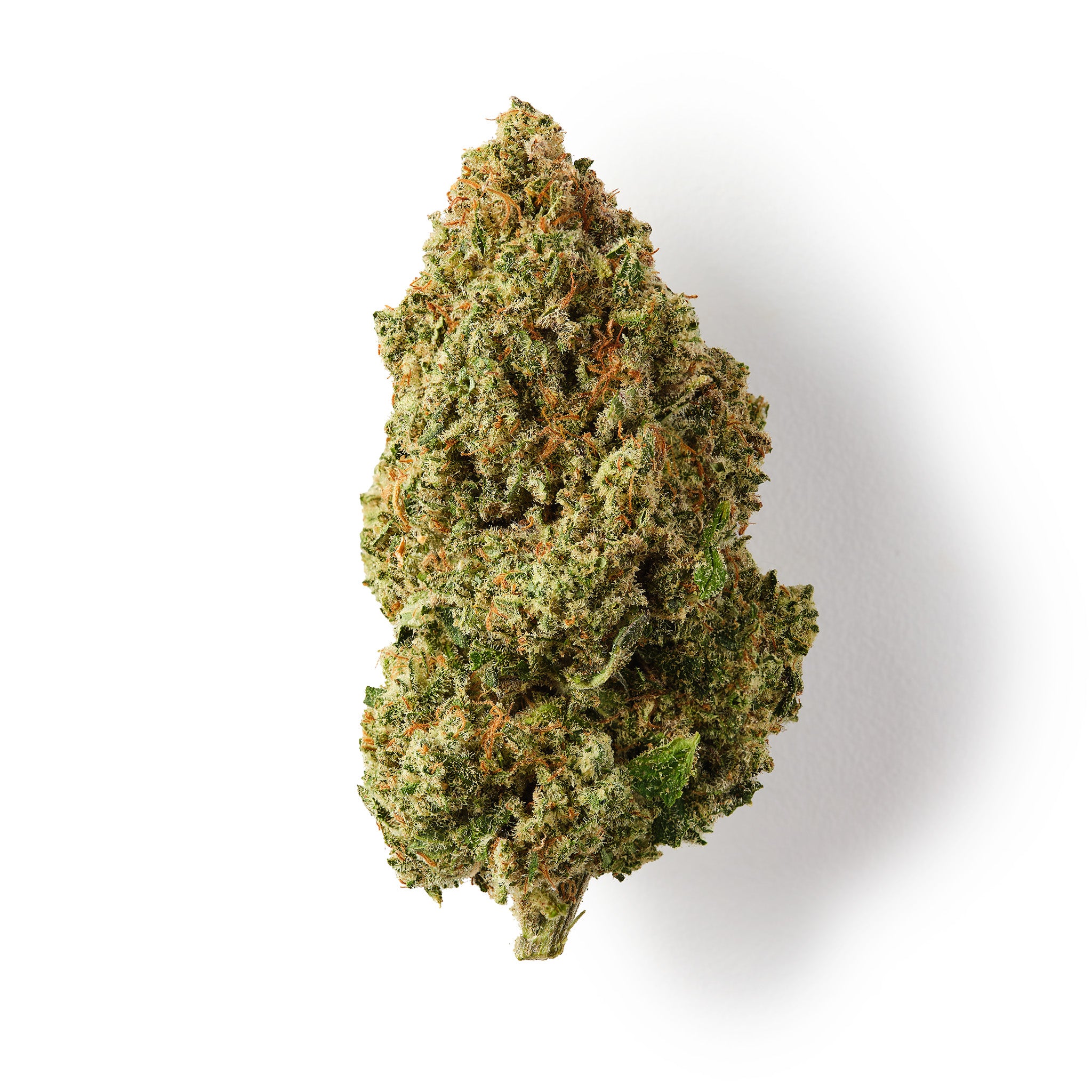 Orange Martini | CBD Flower | Exquisite Indoor | 18%