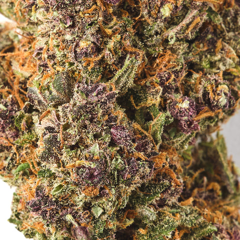 Chardonnay | CBD Hemp Flower | Exquisite Indoor | 12% CBD - HempHash