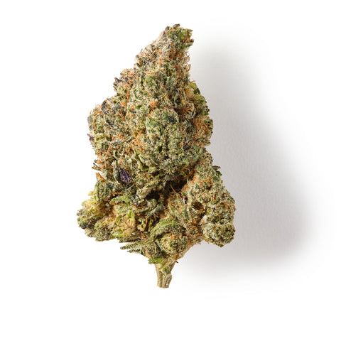 Purple Kush CBD Flower Hemp Tea with 18% CBD, floral and grape aromas, and vibrant purple hues.