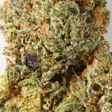 Purple Kush CBD Flower Hemp Tea with 18% CBD, floral and grape aromas, and vibrant purple hues.