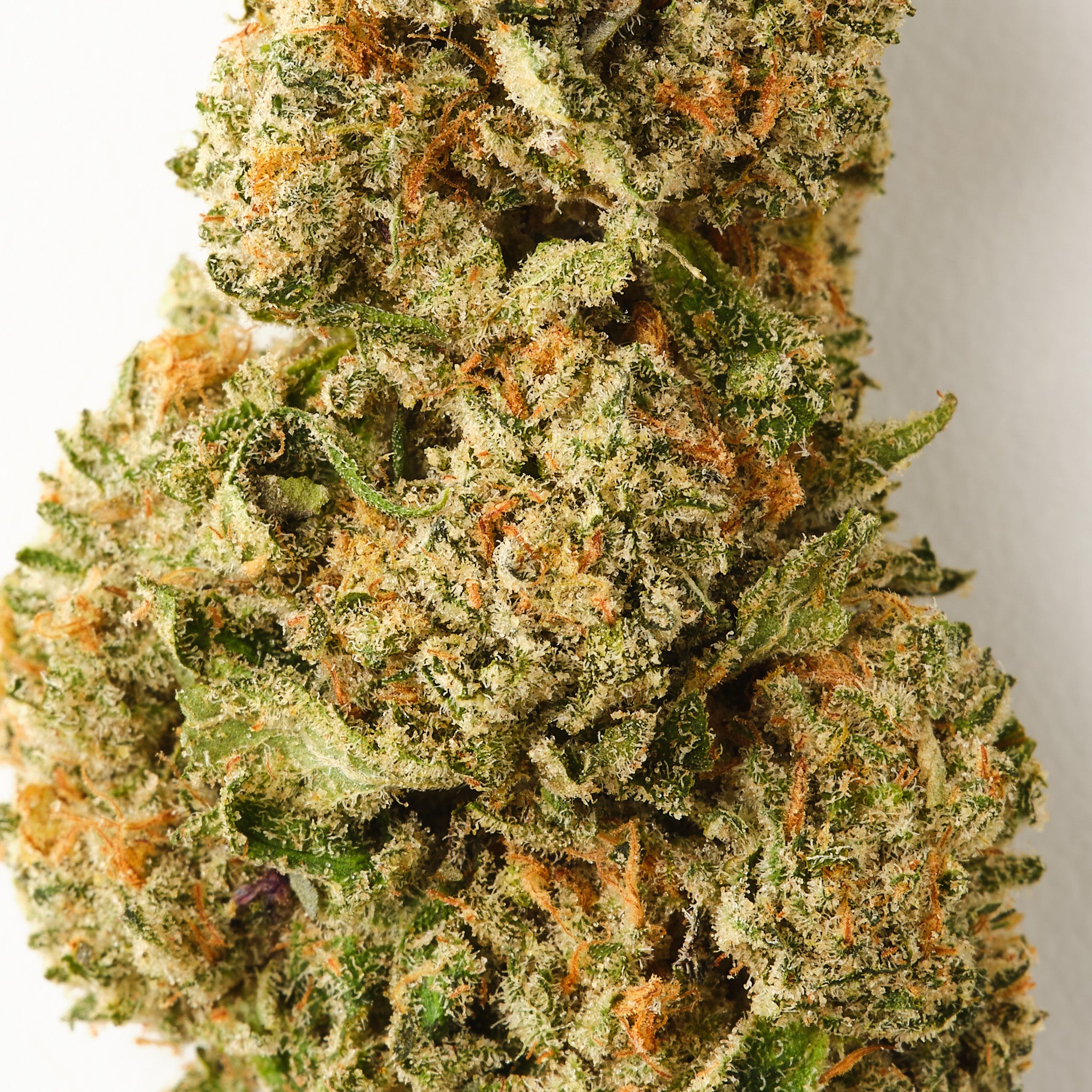 Snow in the dam CBD flower sold in UK