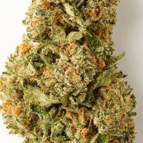 Snow in the dam CBD flower sold in UK