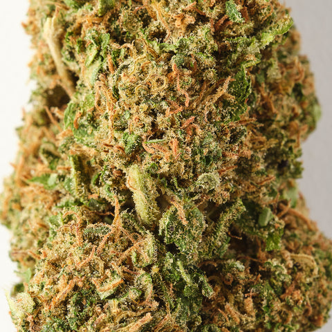 Sour Lifter | CBD Flower | USA Greenhouse | HempHash | 19% CBD