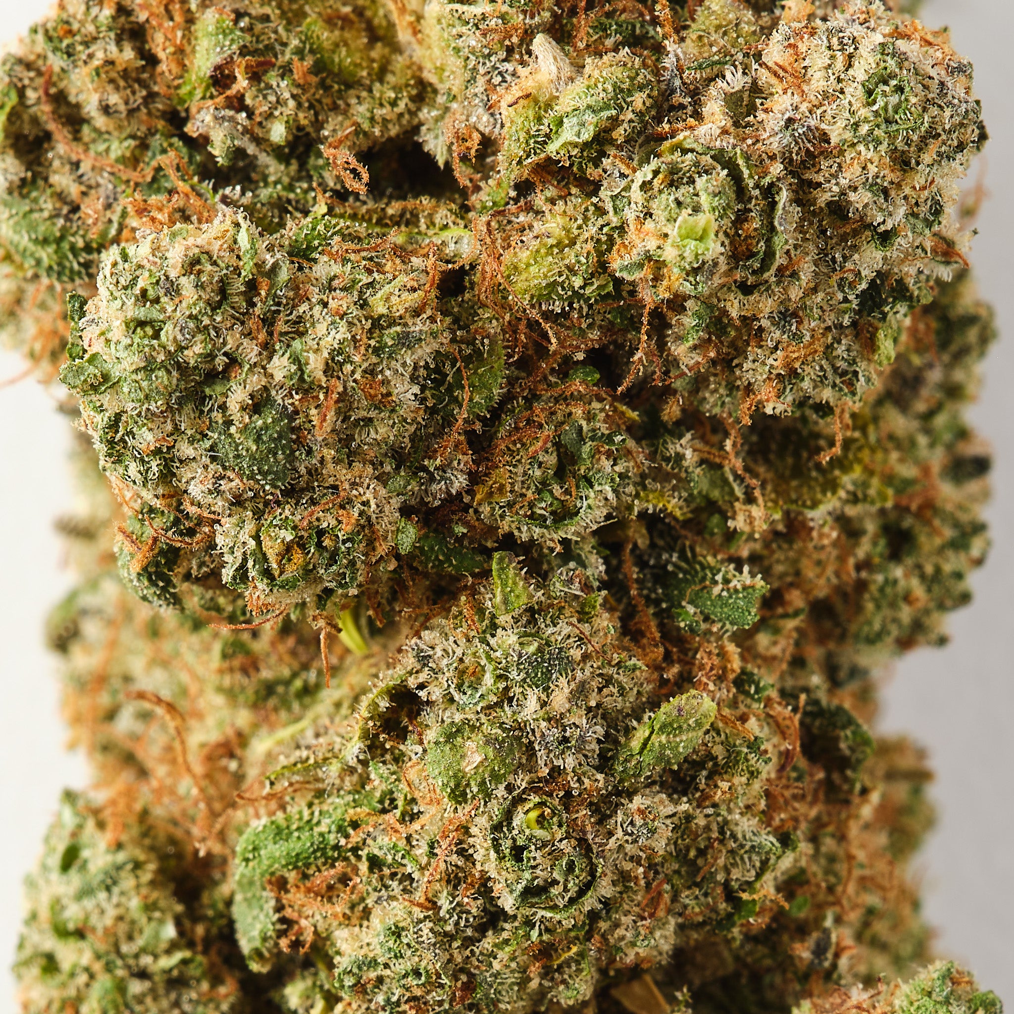 Tropik Cobler | CBD Flower | Exquisite Indoor | 17%