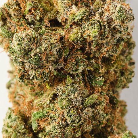 Tropik Cobler | CBD Flower | Exquisite Indoor | 17%