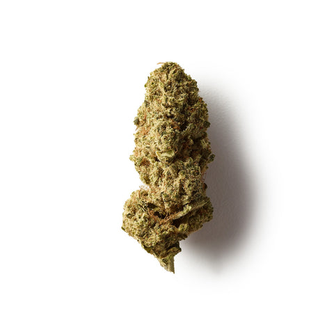 White Widow | CBD Flowers | Ivory | Buds | 12% CBD - HempHash