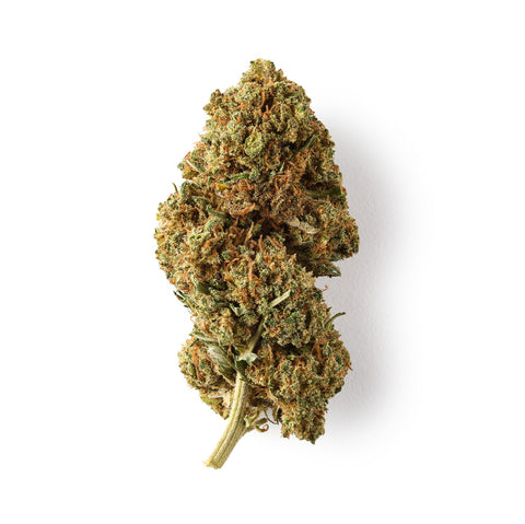 Easy Weed White Rhino CBD flower, 12% CBDa, organic, greenhouse-grown, pine, earth, and citrus aroma.