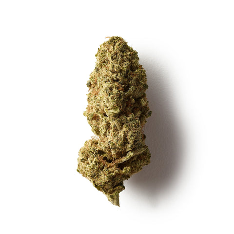 Premium indoor-cultivated indica-leaning CBD hemp flower tea with excellent trichome coverage.