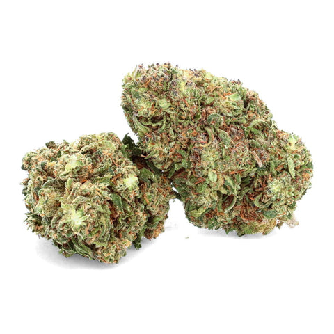 Royal Cheese CBD flower tea, 10% CBD, with sweet citrus and woody aroma, sourced from EU-grown industrial hemp, <0.2% THC.