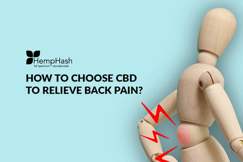 How to choose CBD to relieve back pain?