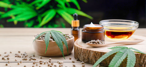 Discover the World of Hemphash: Your Ultimate Guide to CBD Products