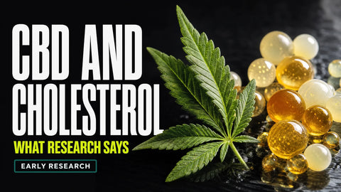 A sharply veined hemp leaf rests beside translucent amber spheres representing cholesterol in a dark editorial still life.
