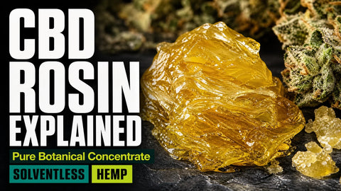 A glossy amber mound of CBD rosin rests beside a trichome-covered hemp flower in a tightly framed macro still life.