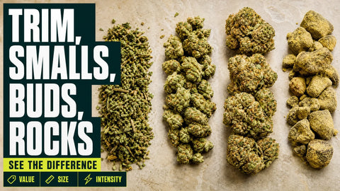 Four groups of hemp flower show loose trim, compact buds, large full buds, and textured coated rocks on a neutral surface.