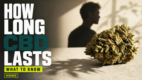 A textured hemp flower sits in the foreground beside a softly blurred human silhouette and a fading shadow.