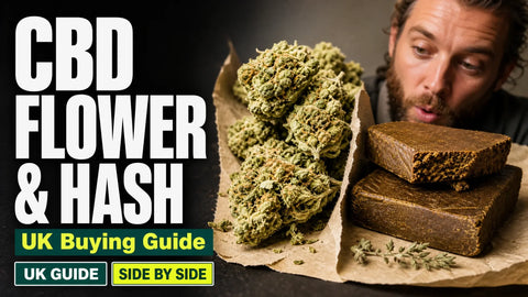 Dried hemp flower and a piece of pressed CBD hash arranged side by side in a refined editorial still life.