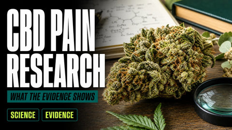 A detailed hemp flower rests on a research desk beside an open notebook, a reference book, and a magnifying glass.