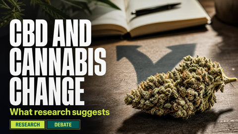 A detailed CBD-rich hemp flower sits beside an open notebook and a forked shadow on a quiet wooden workspace.