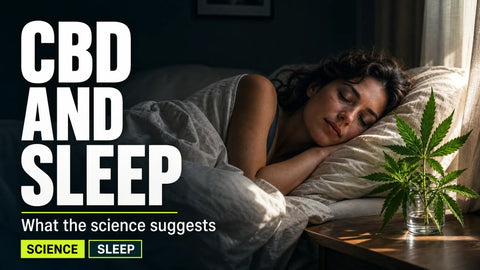 A person rests in a dim bedroom while a hemp sprig sits on a bedside table in the foreground.
