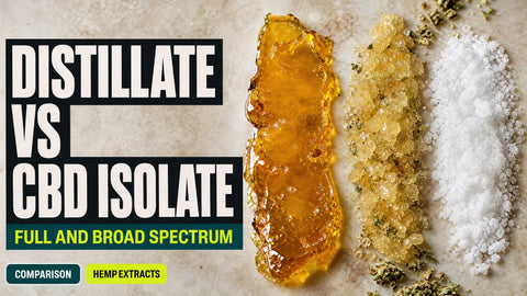 Three hemp-derived materials are arranged in separate sections, showing amber distillate, golden broad-spectrum material, and white crystalline CBD isolate.