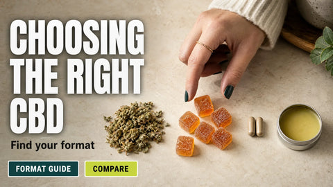A top-down view shows dried hemp botanicals, amber gummies, and capsules arranged as a calm home comparison scene.