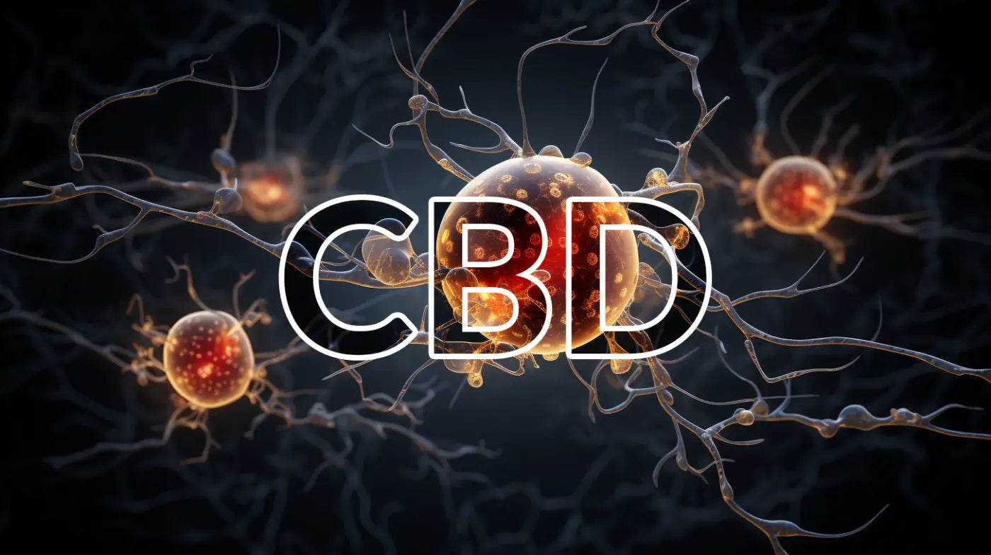 Is CBD Addictive? Comprehensive Analysis of Cannabidiol's Potential for Addiction HempHash