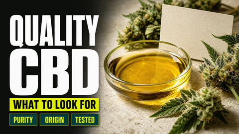 Recognizing High-Quality CBD: What to Look For