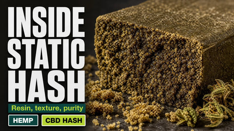 A dark olive block of hemp hash sits among loose resin-rich crumbs and small dried flower fragments in a tightly framed macro photograph.