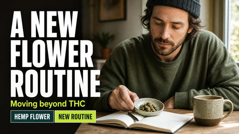 An adult sits at a sunlit home desk beside a journal, cup, and ceramic dish of dried hemp flower.