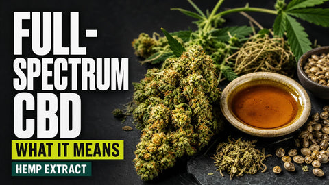 A premium still life shows amber full-spectrum hemp extract beside resinous hemp flower, green leaves, seeds and dried botanical fragments.