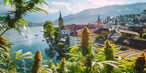 Introduction to Zurich Canton's Controlled Cannabis Sales Initiative in May