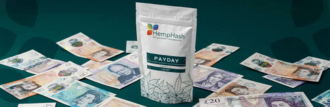 Your Payday Upgrade Starts Now