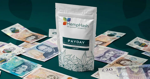 Your Payday Upgrade Starts Now