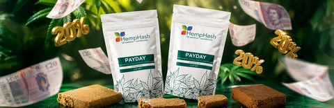 Payday Just Got Better